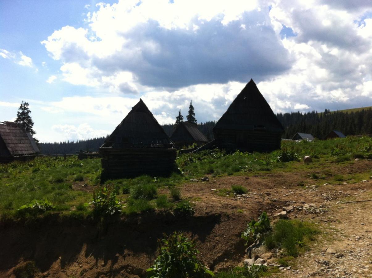 Pensiunea Skiland Muntele Baisorii Exterior foto