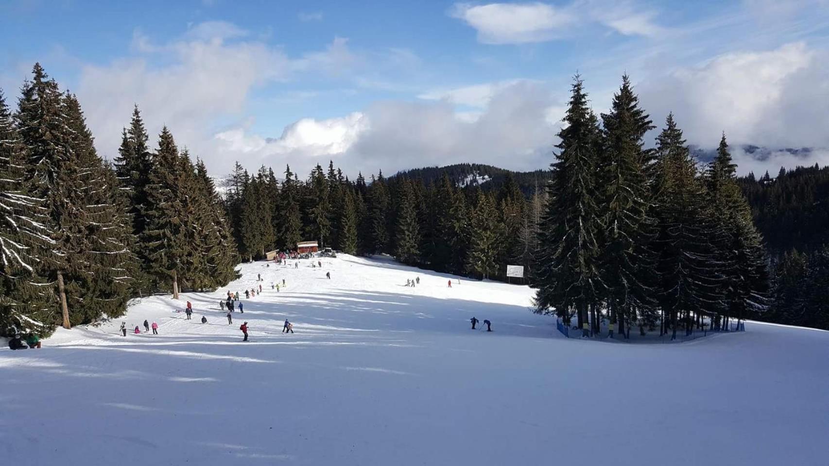 Pensiunea Skiland Muntele Baisorii Exterior foto